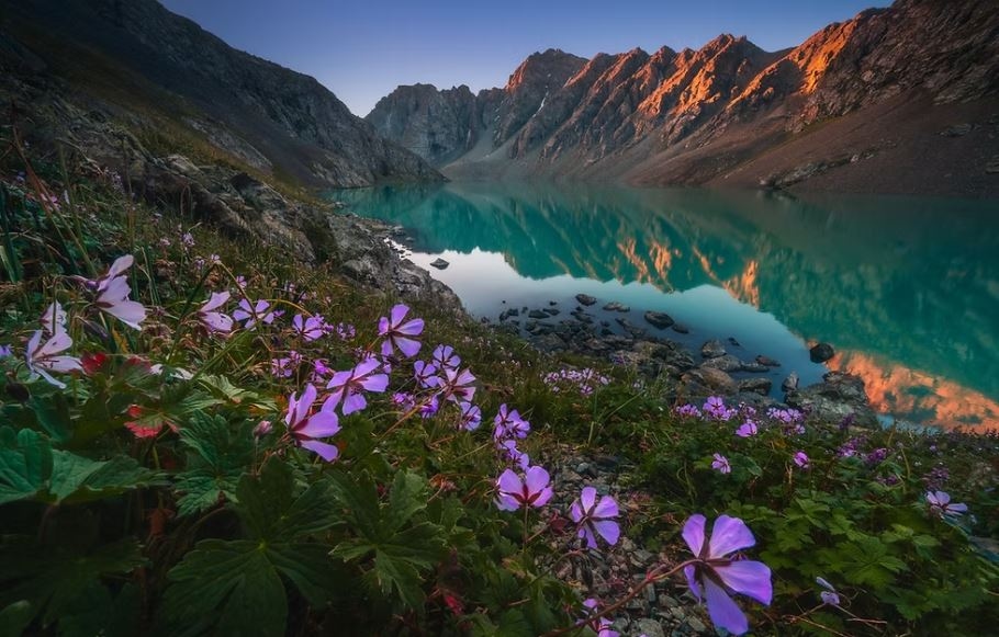 Study opportunities in Kyrgyzstan