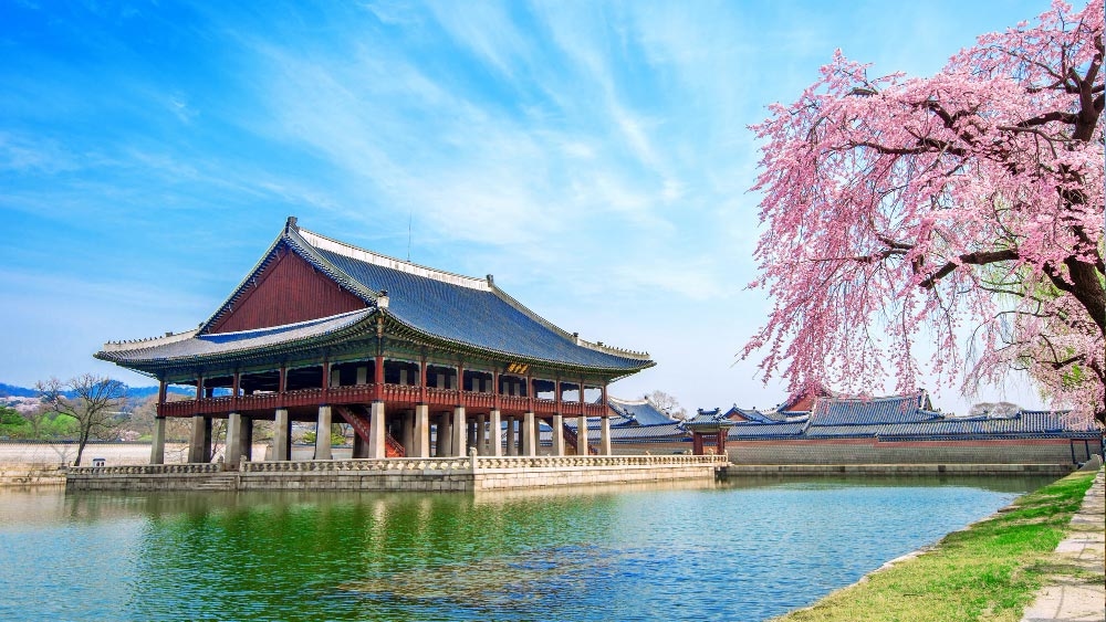 Study opportunities in South Korea