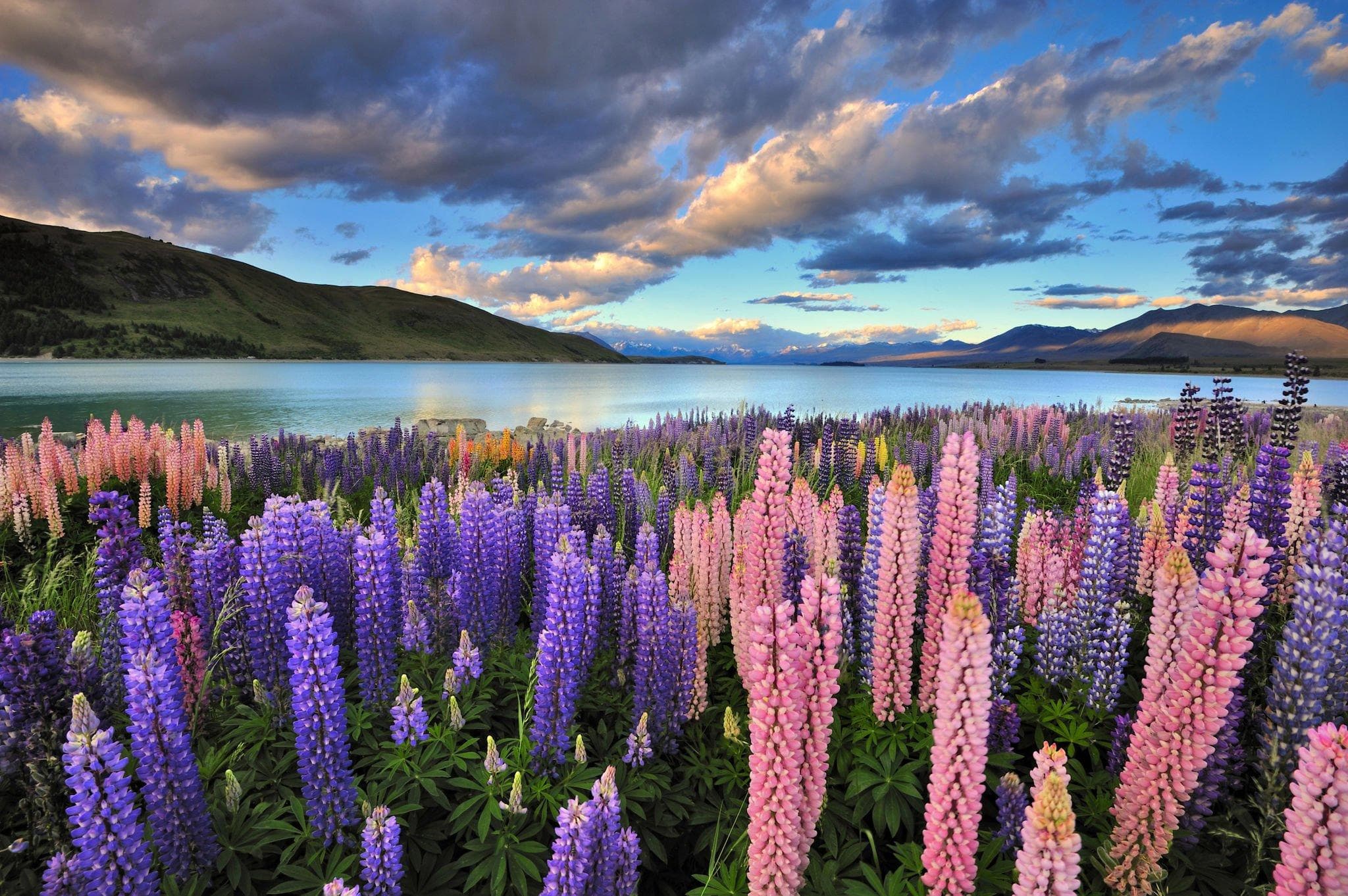 Study and student life in New Zealand
