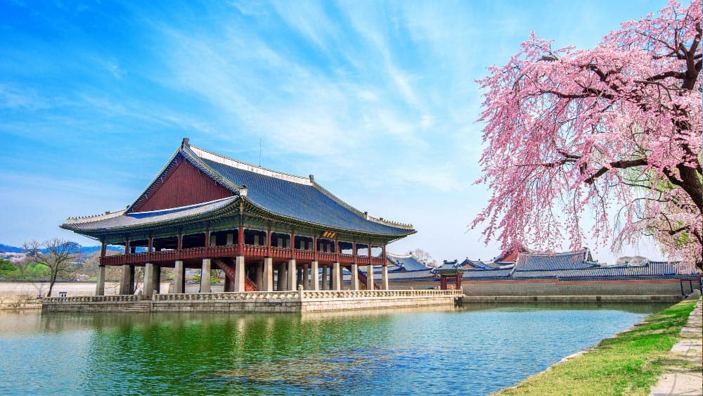 Study and student life in South Korea