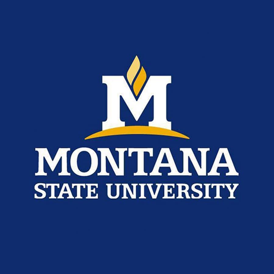 Montana State University logo