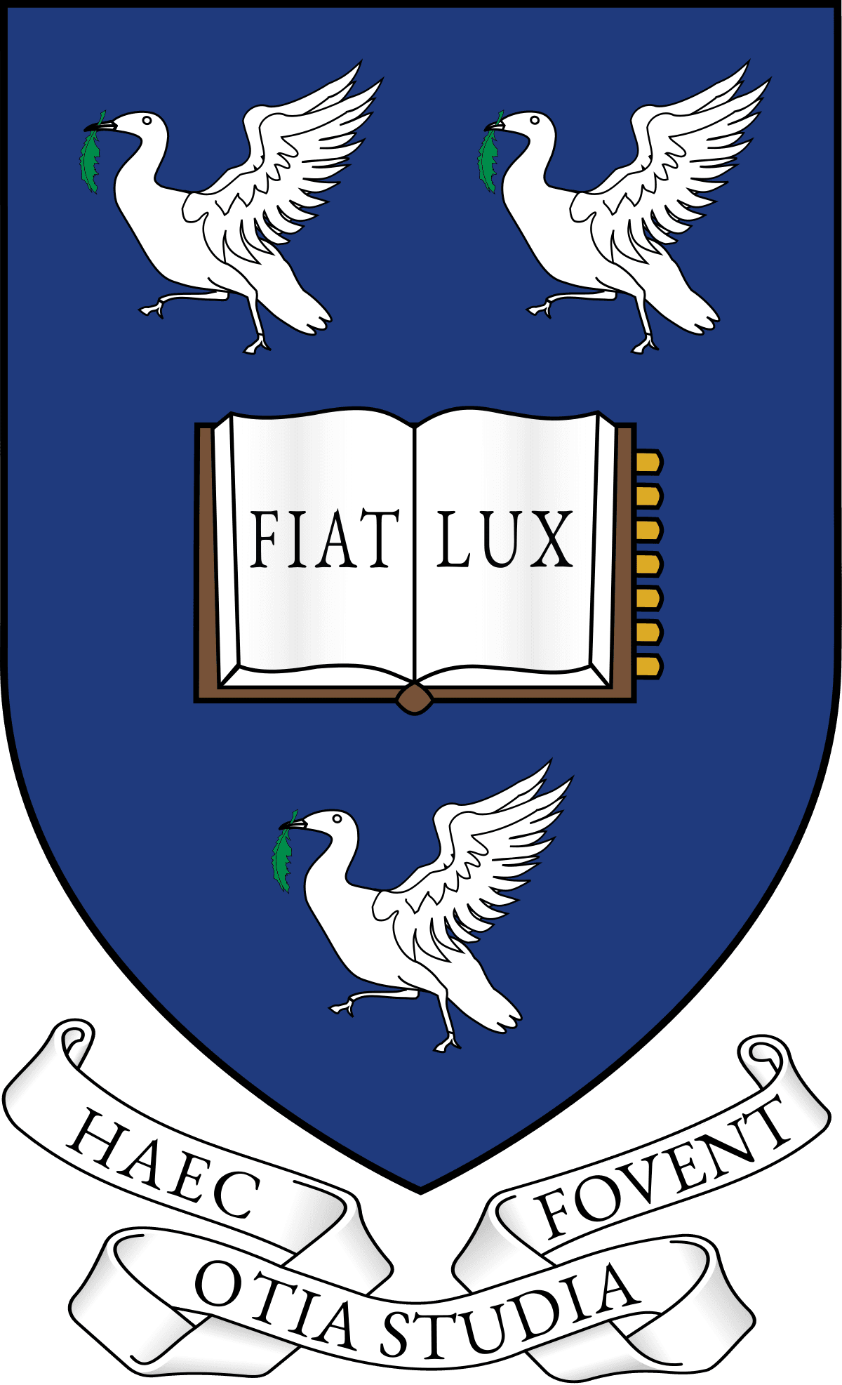 University of Liverpool logo