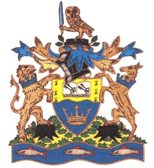 Kingston University London - Roehampton Vale logo