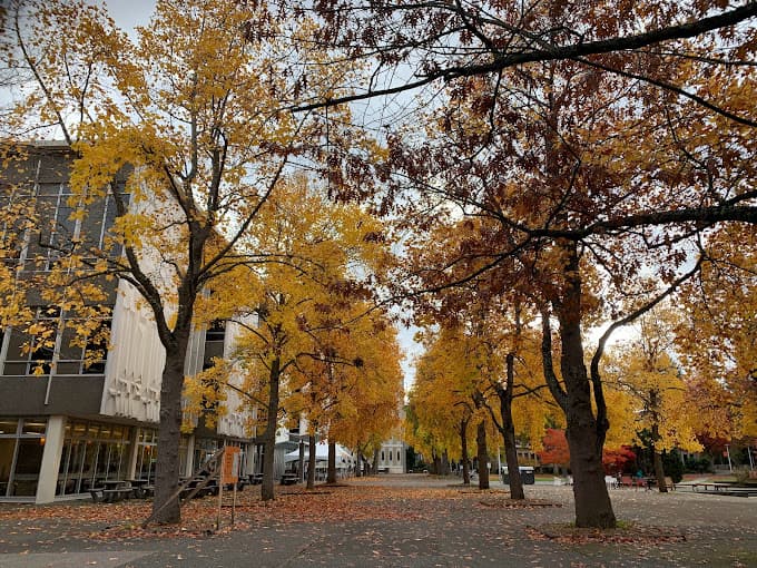 University of Victoria campus 1