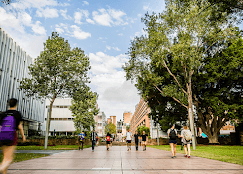 UNSW College campus 3