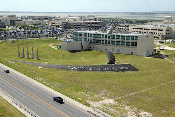 Texas A & M University - Corpus Christi campus 2