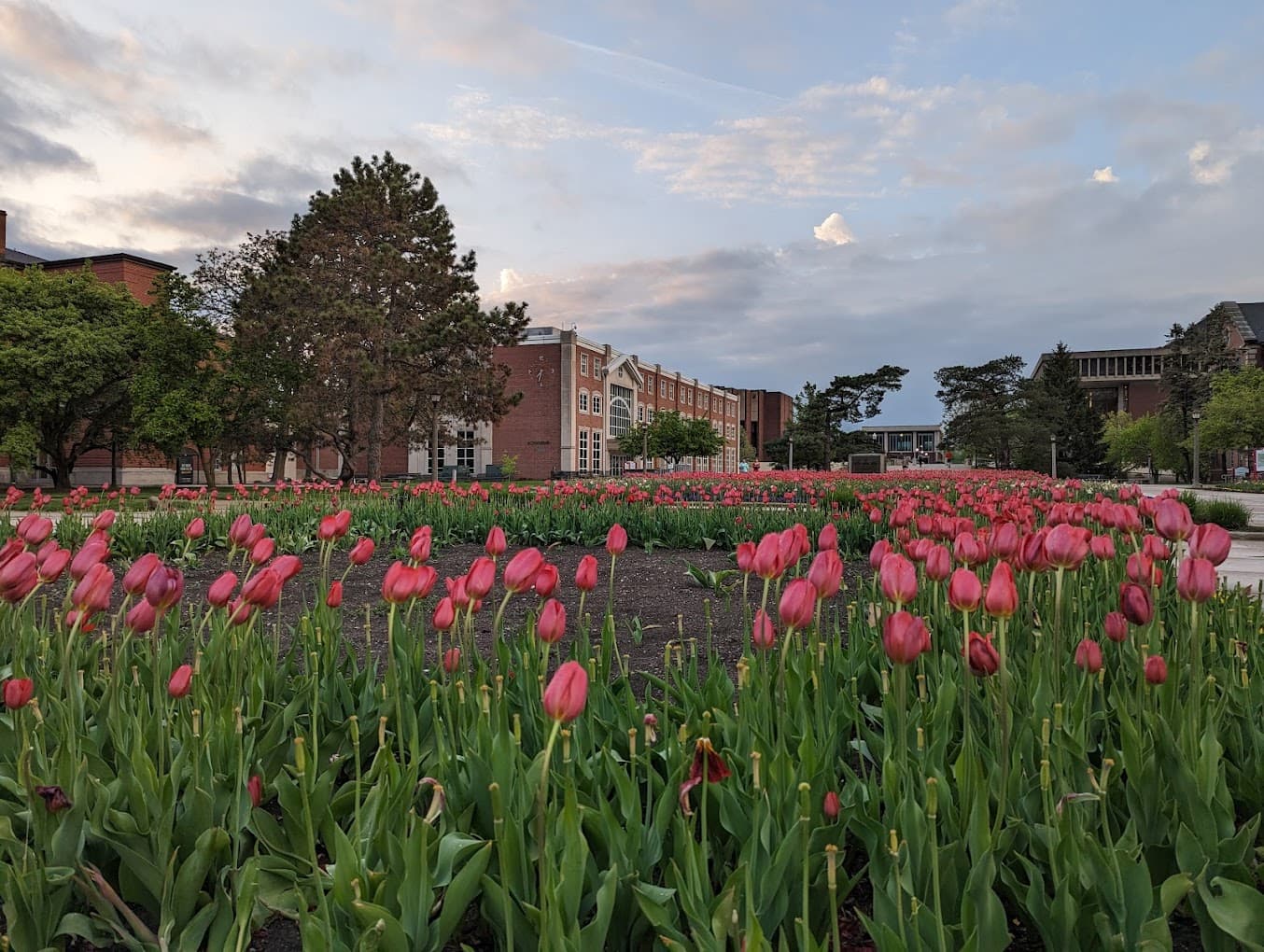 Illinois State University campus 2