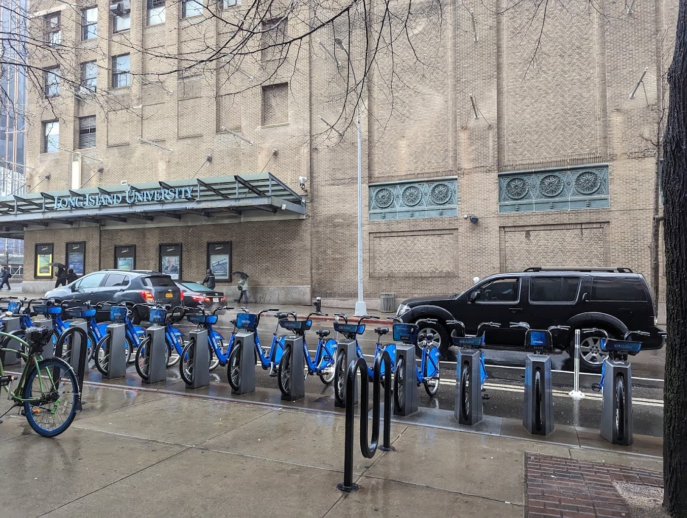 Long Island University Brooklyn (LIU Brooklyn) campus 1
