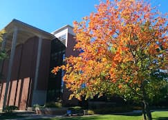 Lewis University campus 1