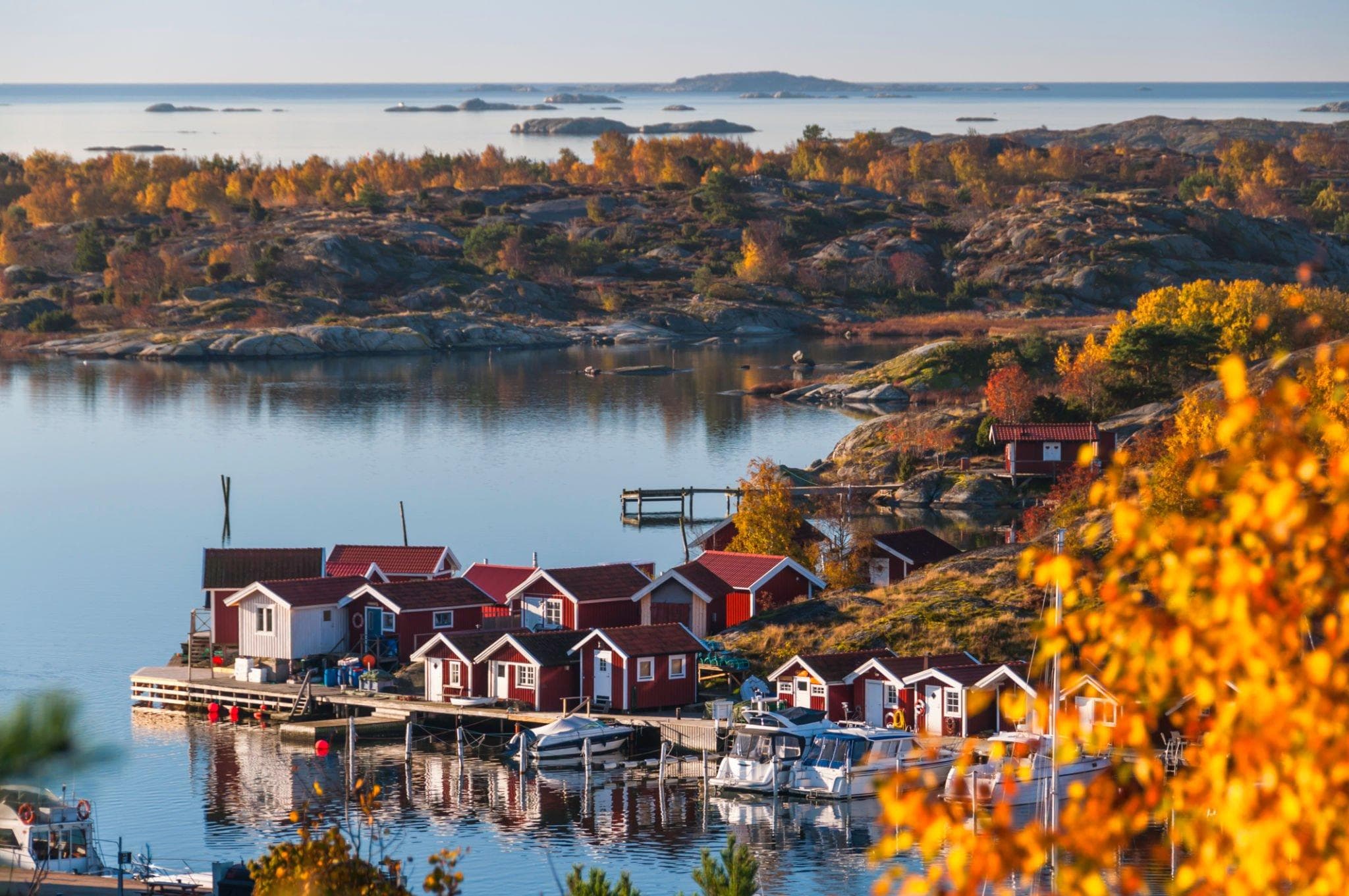 Study and student life in Sweden