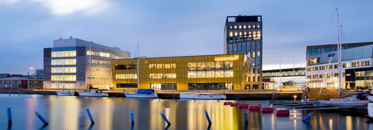 Linnaeus University campus 2