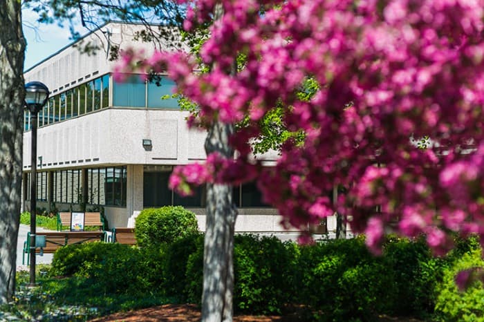 Loyalist College at Toronto Business College campus 1