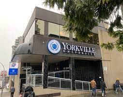Yorkville University - Toronto campus 3