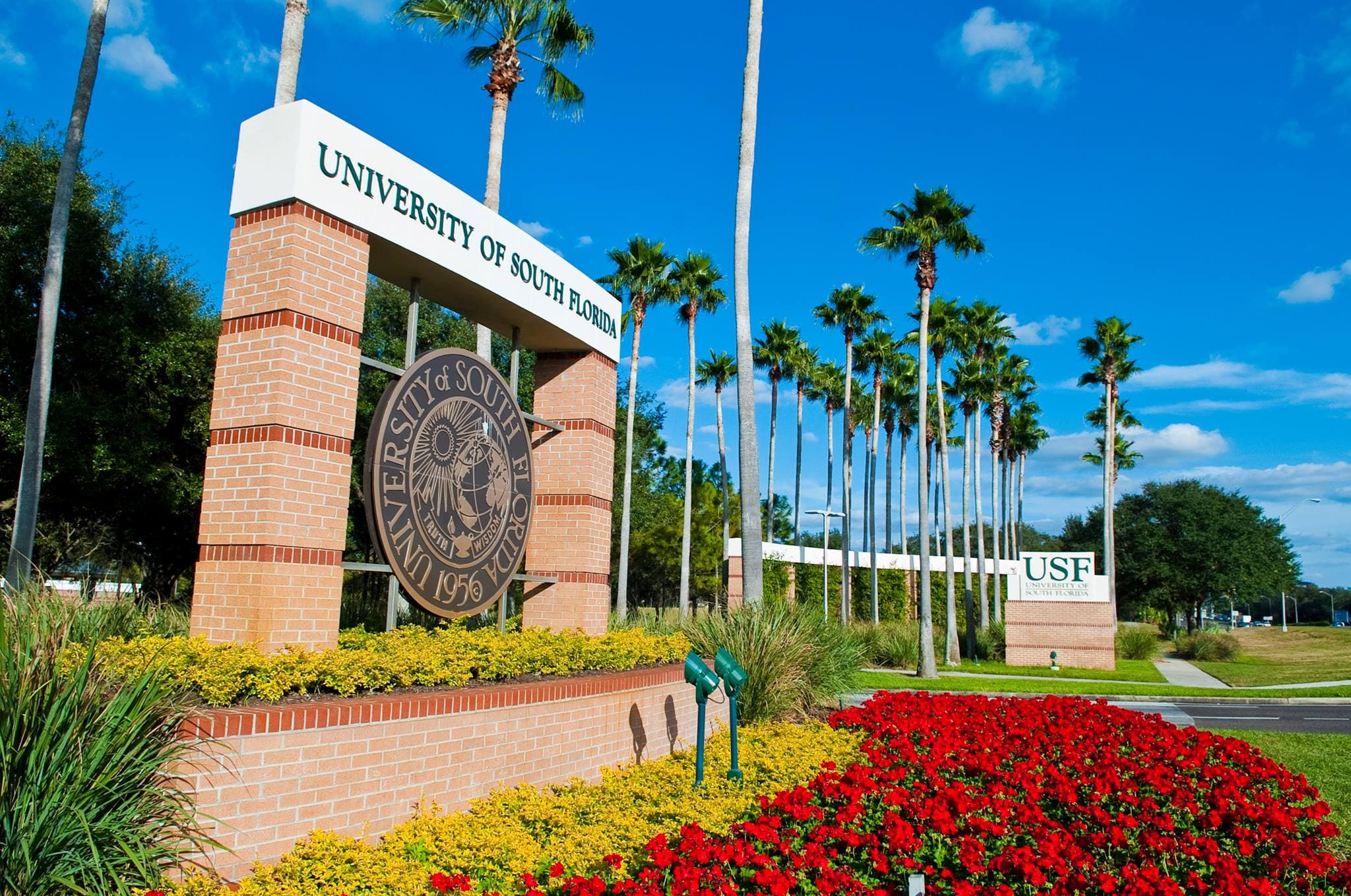 University of South Florida campus 2