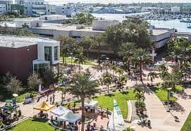 University of South Florida campus 3
