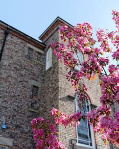 University of Law (Newcastle) campus 2